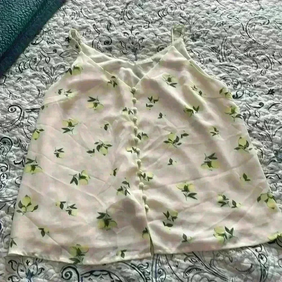 Sophie Rue xl cream chiffon top - Picture 1 of 5